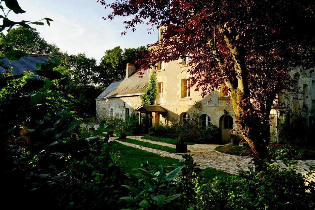Le Moulin De La Planche Bed & Breakfast Cerelles Екстериор снимка
