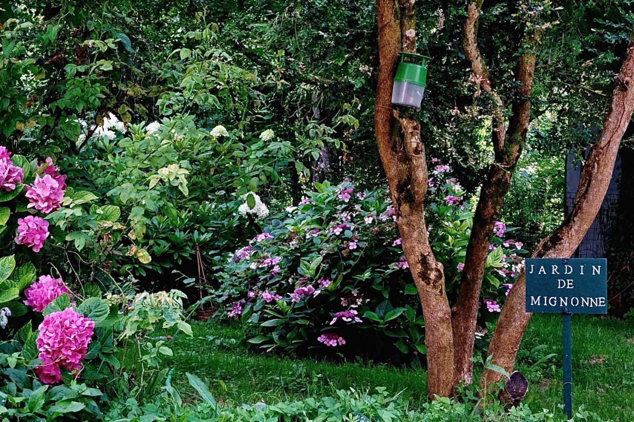Le Moulin De La Planche Bed & Breakfast Cerelles Екстериор снимка